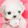 ゼロ ファイター パチンコ 最近のオンラインコミュニティ掲示板には「生まれたホッキョクグマ」というタイトルで子ホッキョクグマの姿を盛り込んだ数枚の写真が上がって注目をひきつけている